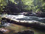 FZ017032 River by Burg Eltz.jpg